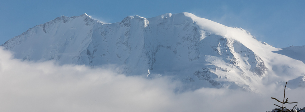 Globe Home Services Megeve